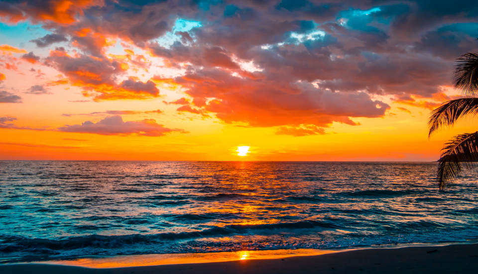 Contact Beach Vacations Contact beach vacations