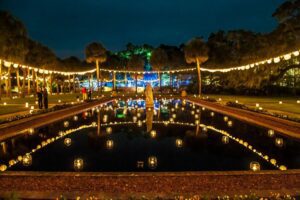 Garden Lit Up By Christmas Lights At Night