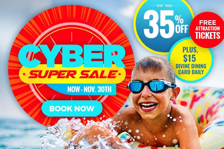 Cyber Super Sale - Save 35%