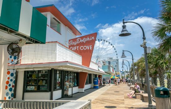 GAY_DOLPHIN_EXTERIOR (4)